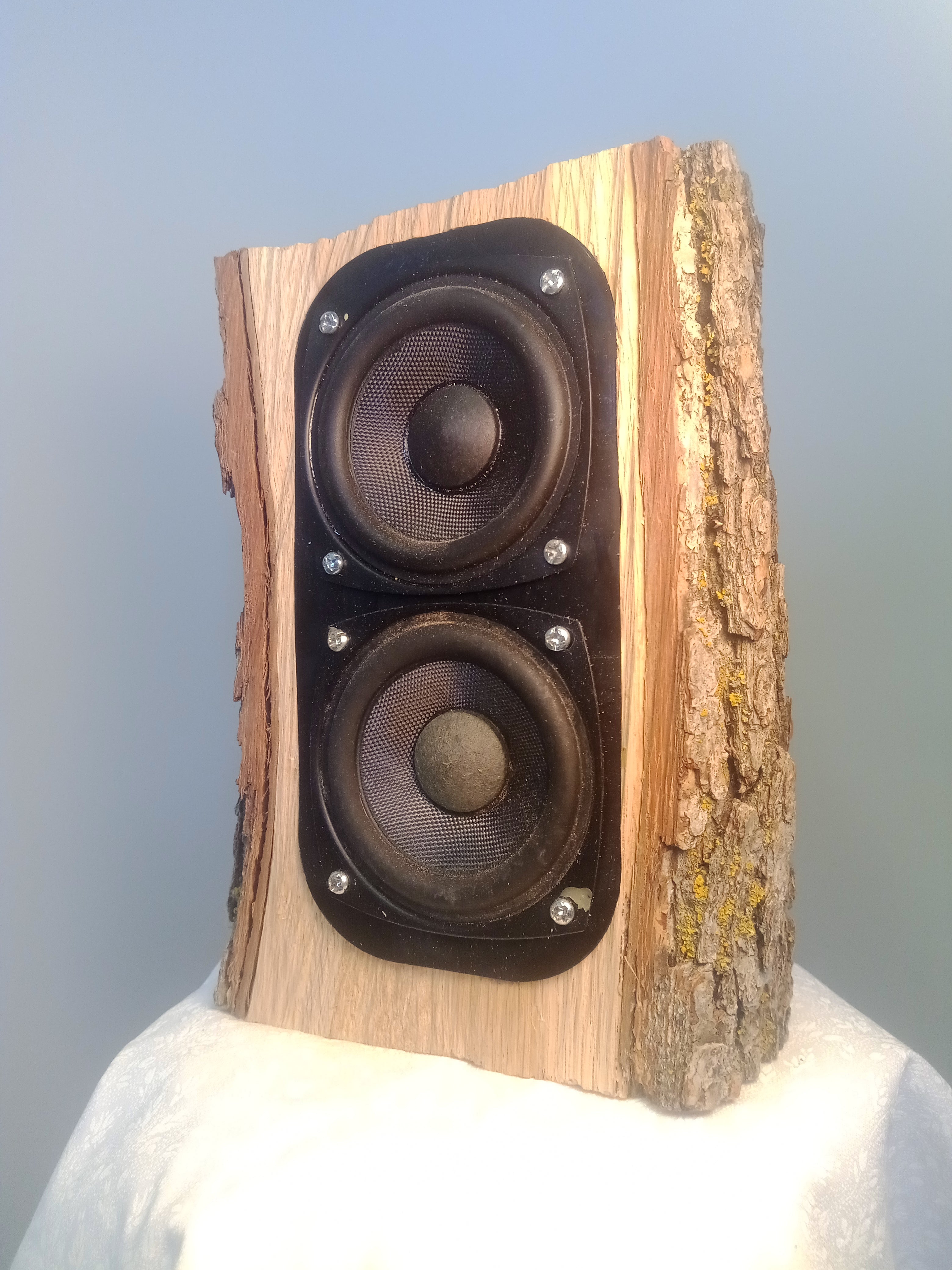 Bluetooth Log Speaker Example